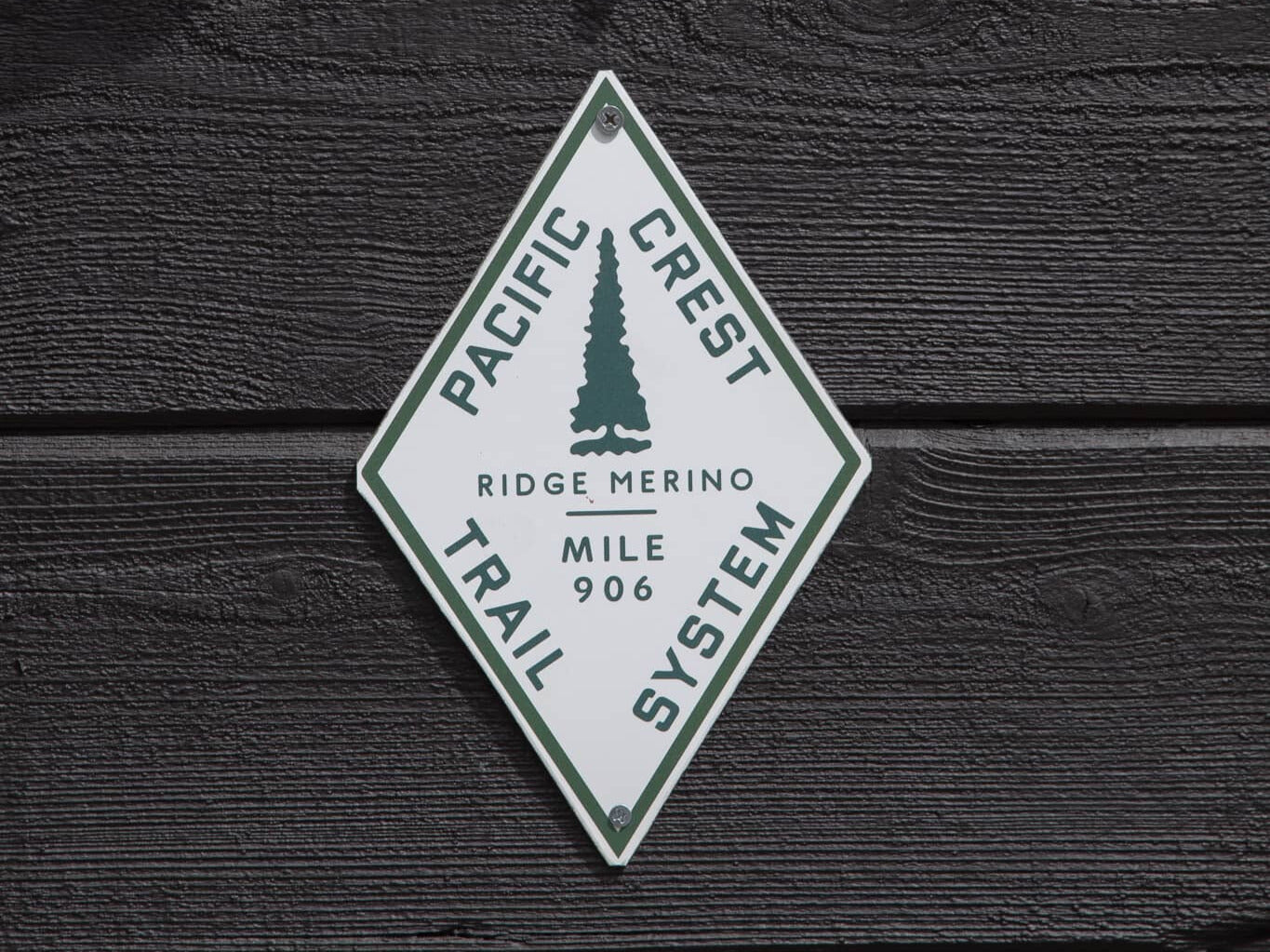 Find Ridge at Mile 906 of the Pacific Crest Trail