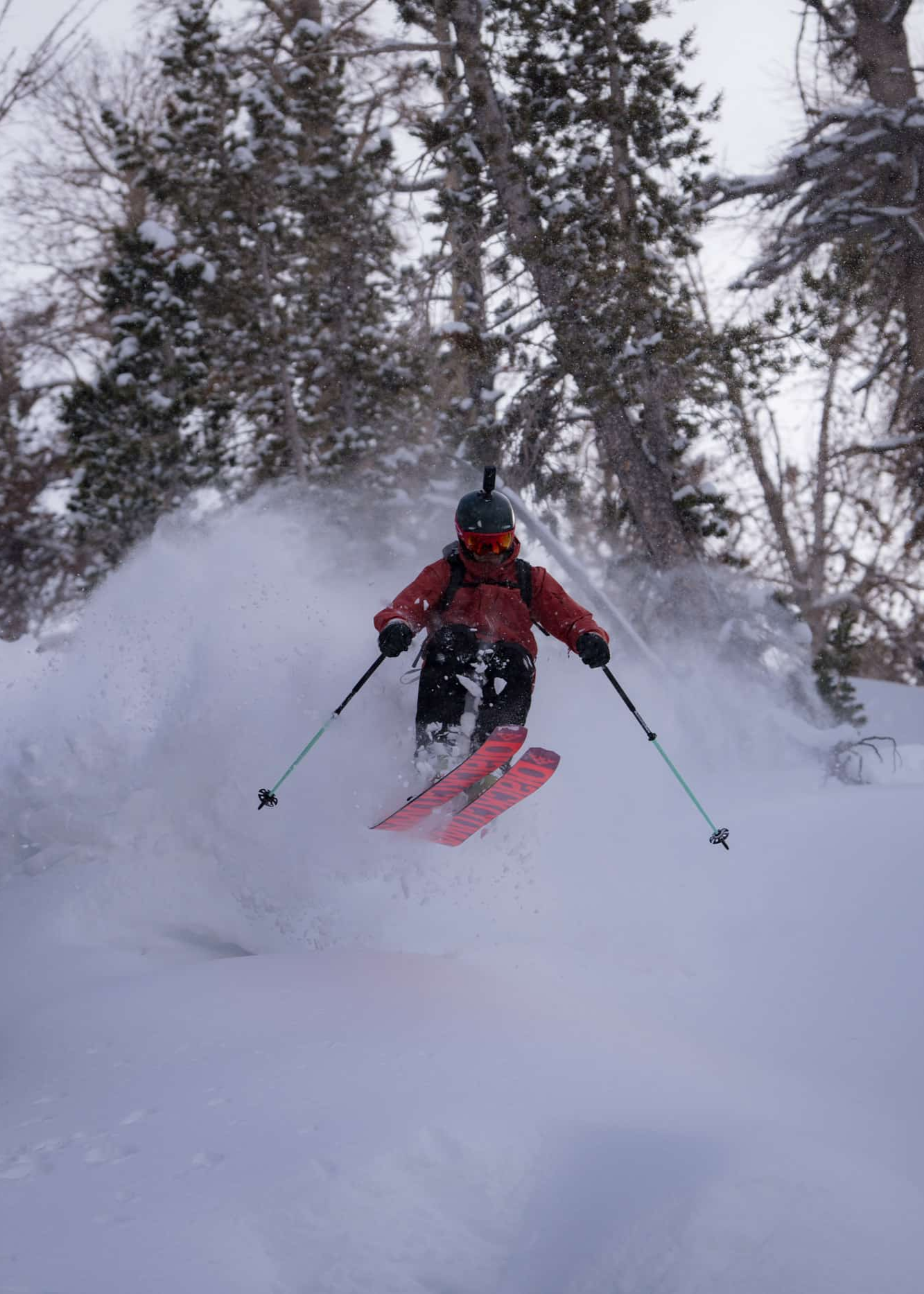 Bernie_shredding_yurt.png