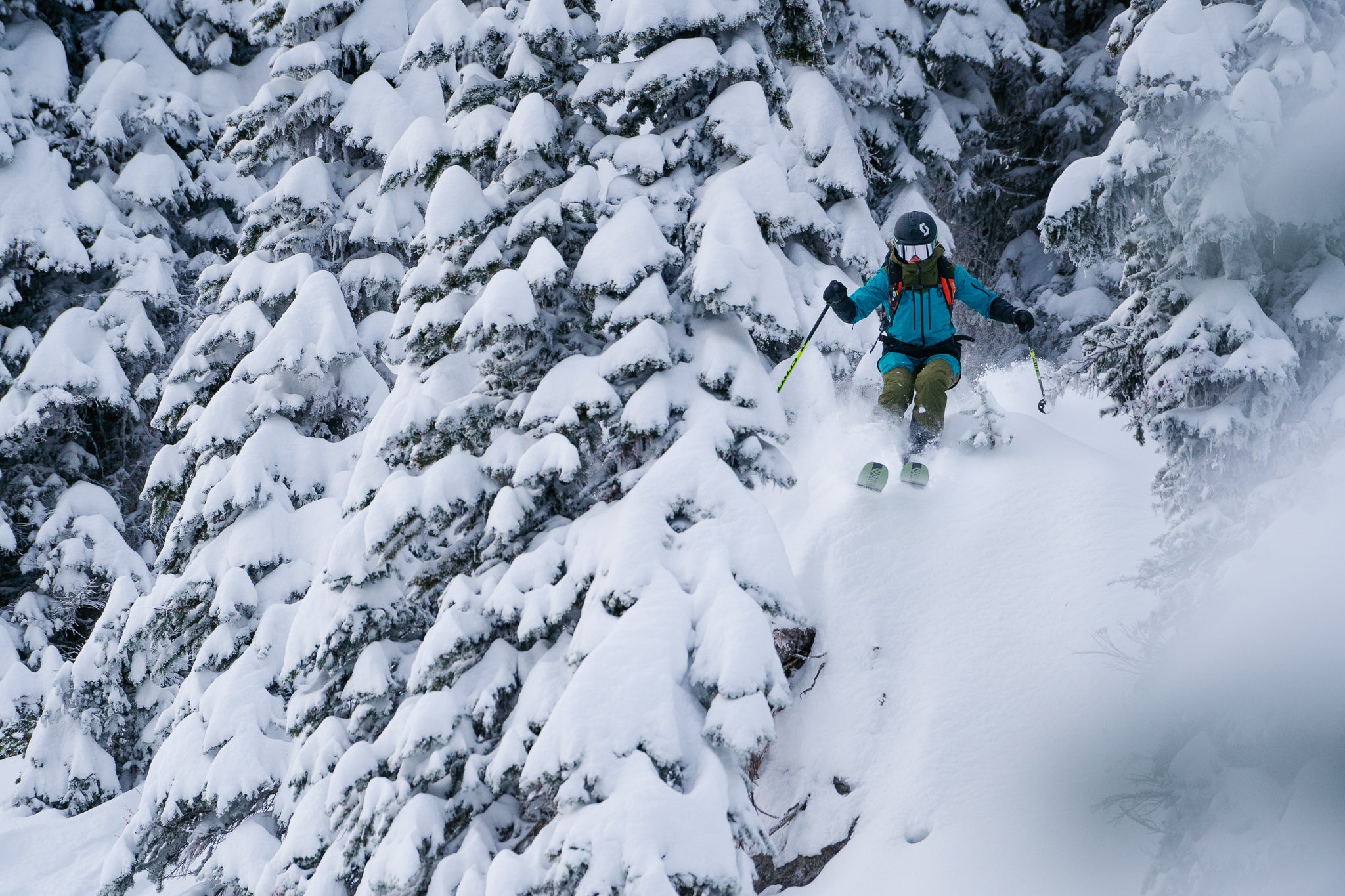 a skier cruises through a forest of snow-laden trees